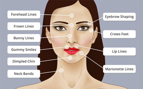 Nerve Signal