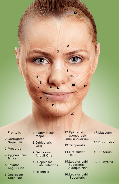 Dr. Derek H. Jones is a national expert on the subject of BOTOX. Los Angeles-area patients seek him out for his experience with the cosmetic and extensive knowledge of facial anatomy.